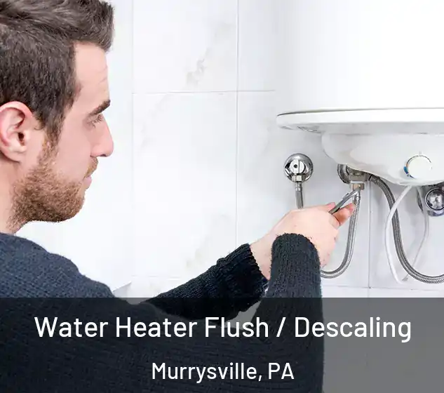  Water Heater Flush / Descaling Murrysville, PA