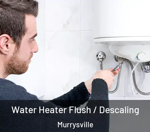  Water Heater Flush / Descaling Murrysville