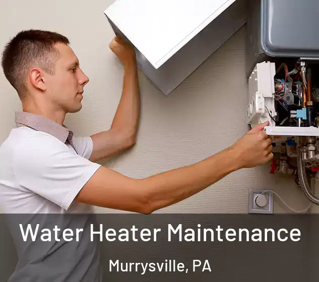  Water Heater Maintenance Murrysville, PA