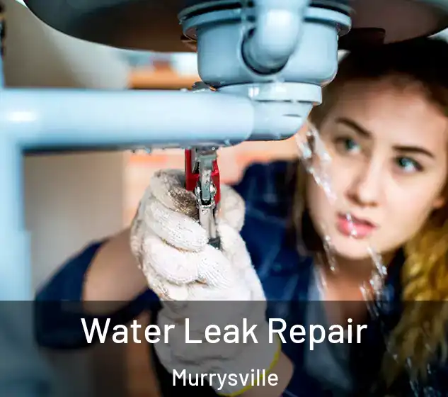  Water Leak Repair Murrysville