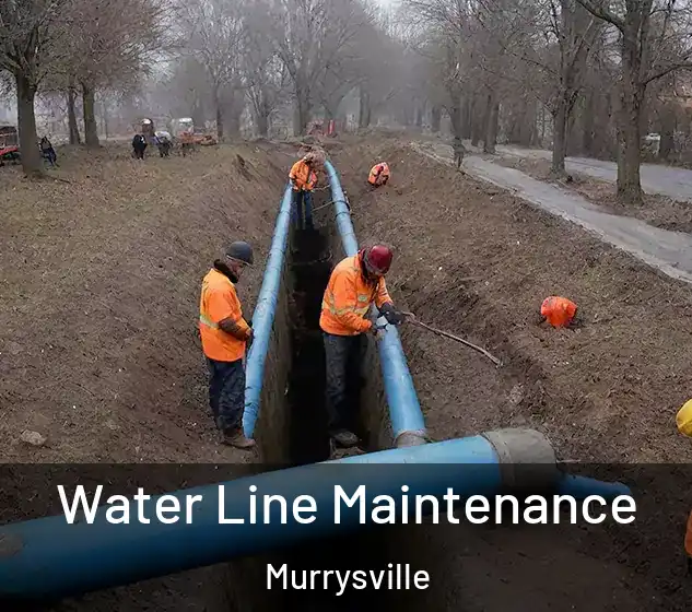  Water Line Maintenance Murrysville