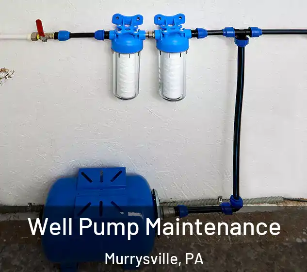  Well Pump Maintenance Murrysville, PA