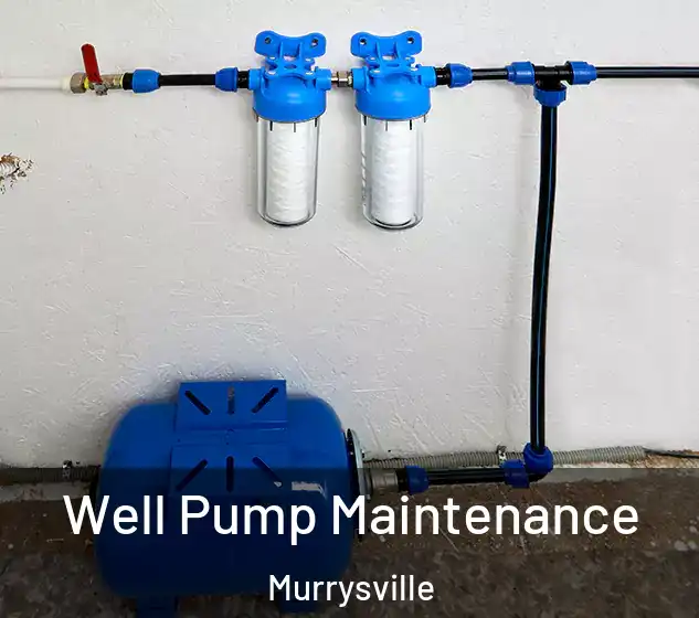  Well Pump Maintenance Murrysville
