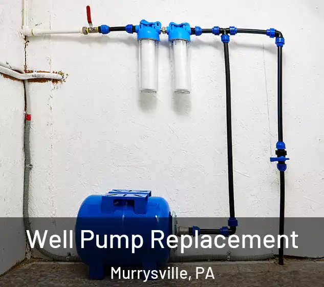  Well Pump Replacement Murrysville, PA