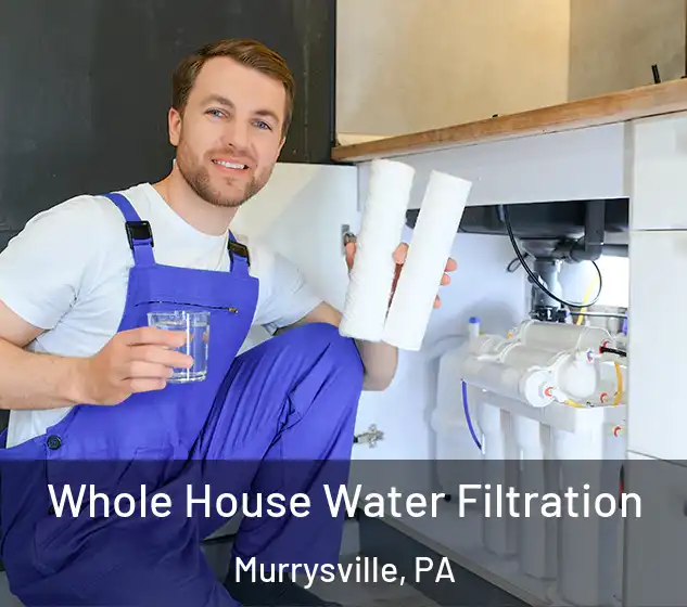 Whole House Water Filtration Murrysville, PA